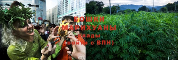 ПСИЛОЦИБИНОВЫЕ ГРИБЫ Армянск