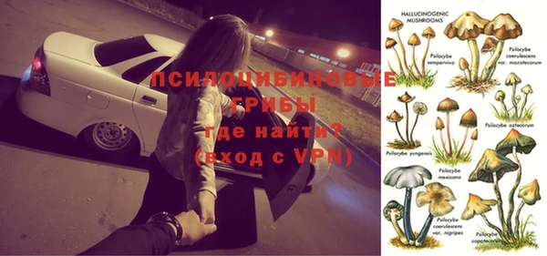 ПСИЛОЦИБИНОВЫЕ ГРИБЫ Армянск