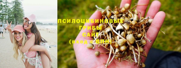 ПСИЛОЦИБИНОВЫЕ ГРИБЫ Армянск