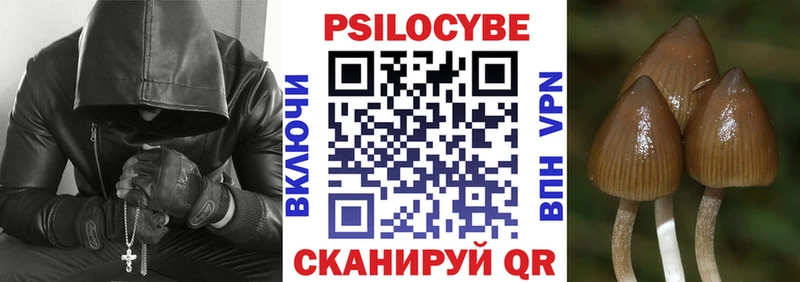 цены   Сегежа  Галлюциногенные грибы Psilocybe 