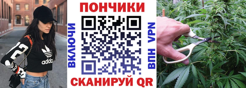 Шишки марихуана OG Kush Сегежа